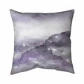 Fondo 26 x 26 in. Nebula-Double Sided Print Indoor Pillow FO2775289